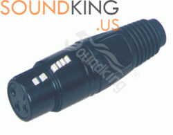 Jack canon cái SOUNDKING CA117