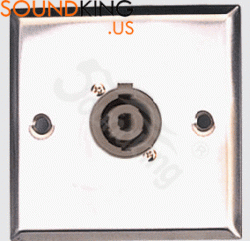 SOUNDKING AJ153
